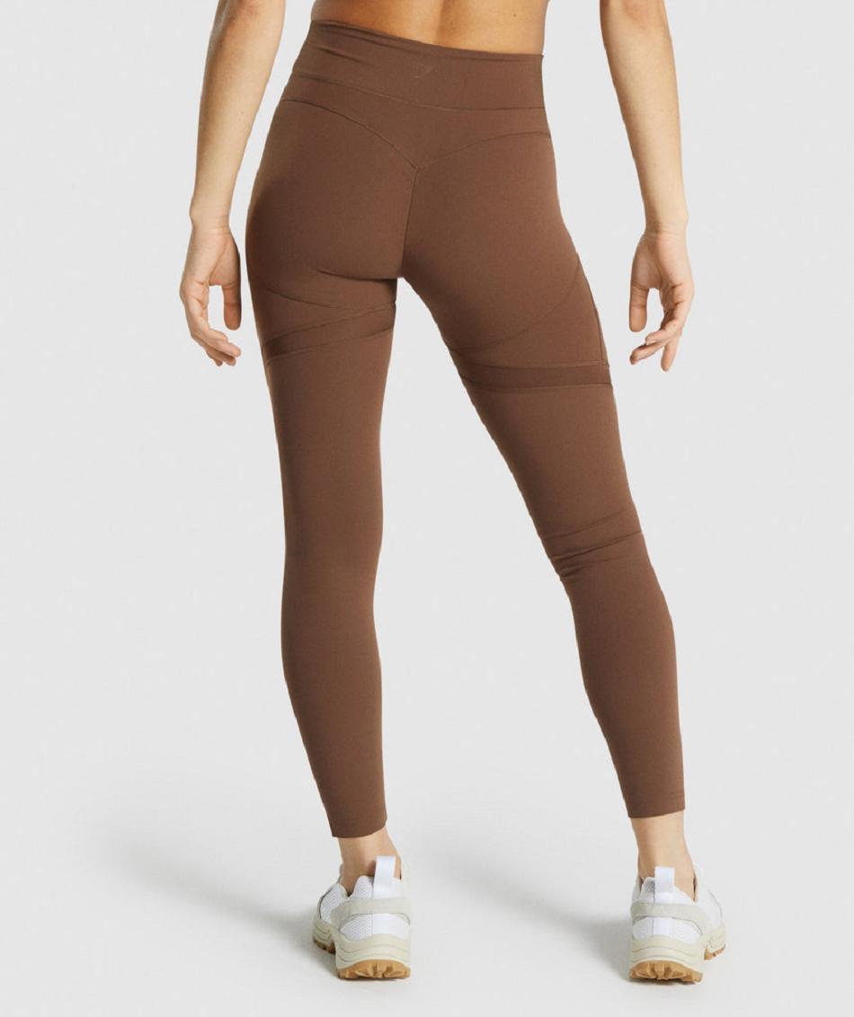 Leggins Gymshark Whitney Mesh Mujer Marrones | CO 2844LIS